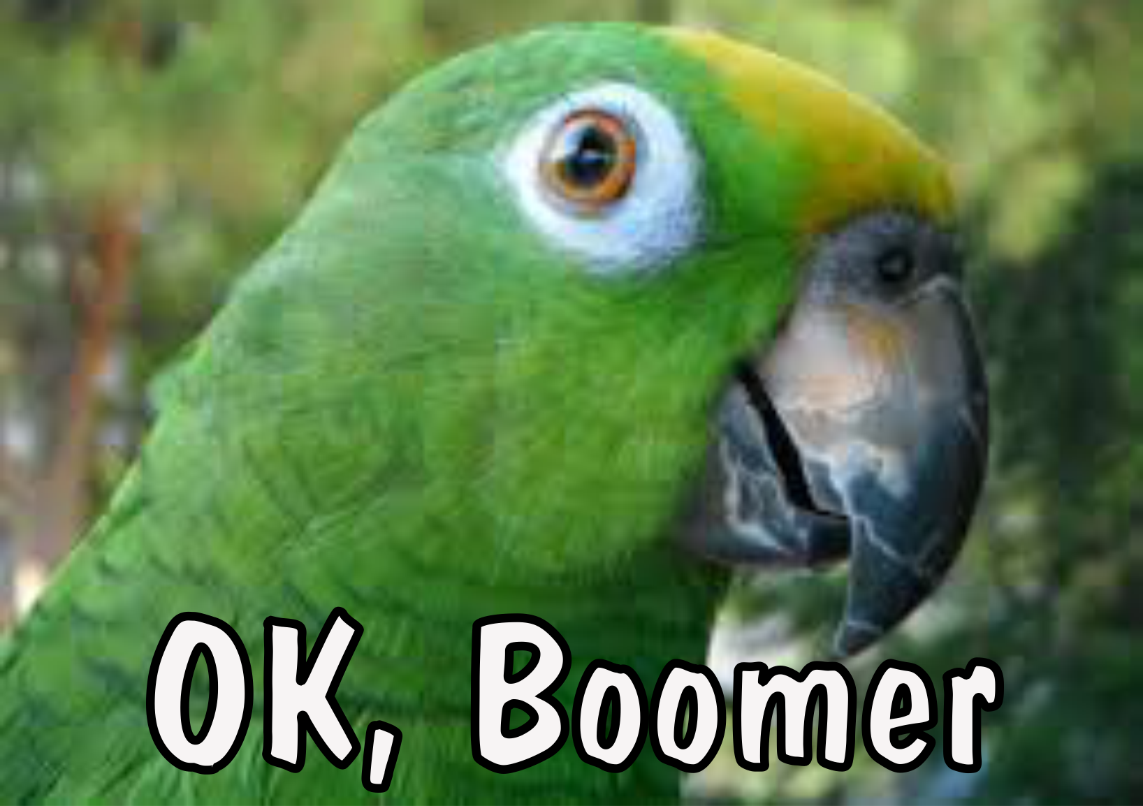 What Is Boomerism?